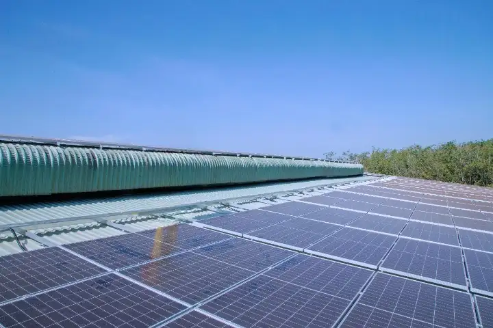 Delhi NCR